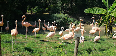 גן החיות פאונה פארק - פארק נטורה ויה (צילום - אגם גארדה לישראלים)